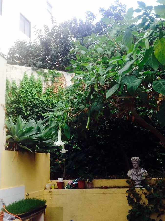 بيت ضيافة فندق لا أوروتافافي  Casa Anchieta